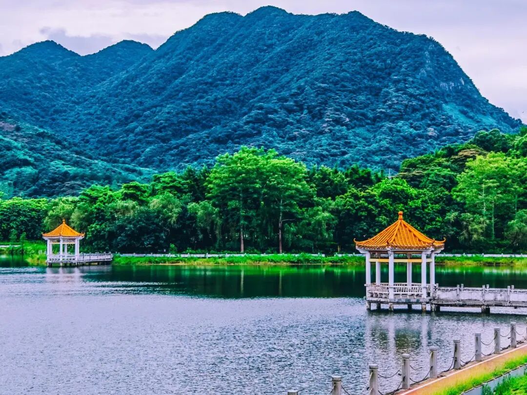 增城“美麗庭院”建設繪就鄉村振興新圖景“小美”庭院扮靚“大美”鄉村