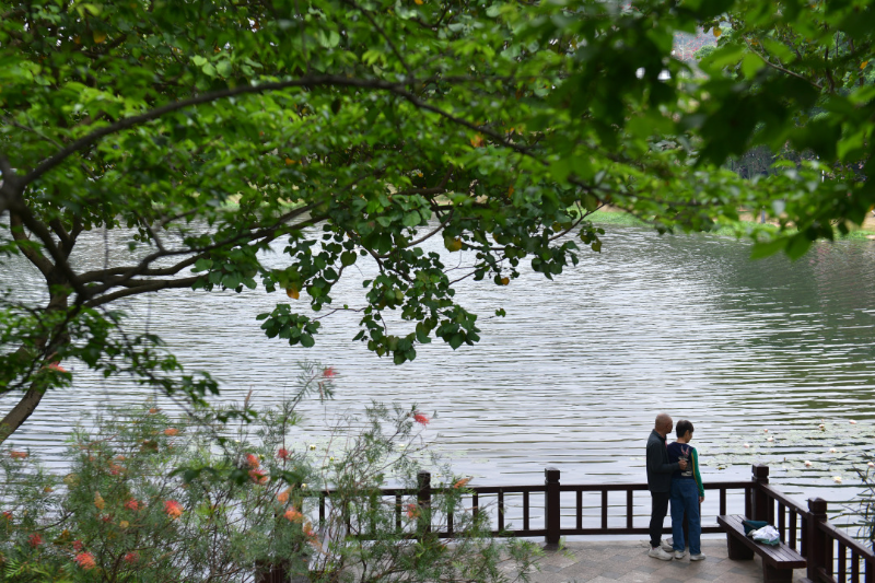 以綠為底，以花為媒！廣州公園景區80余項1400多場活動“慶國慶、迎全運”