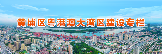 黃埔區(qū)粵港澳大灣區(qū)建設專欄