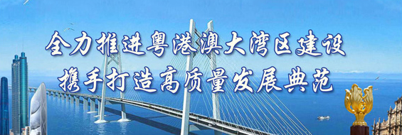 全力推進粵港澳大灣區(qū)建設 攜手打造高質量發(fā)展典范